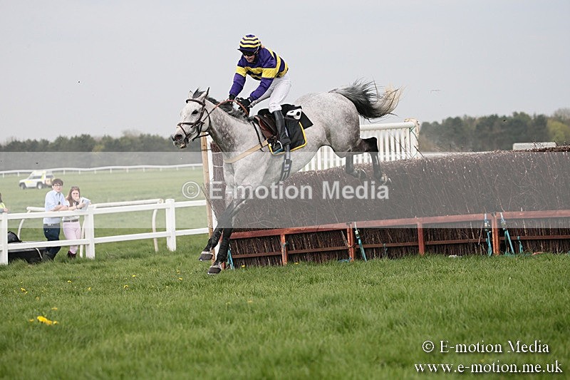 PtP 210418 288 - South & West Wilts Point-to-Point Larkhill 21/04/18
