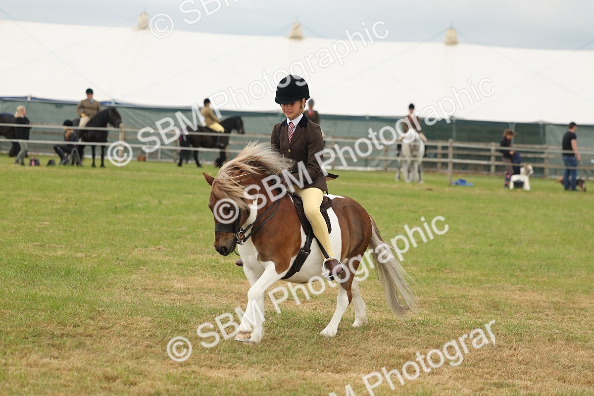 SBM_08896 - Class 78-80 - Ridden M&M Non Welsh Ponies