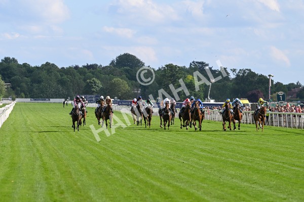 280625-Race 7-Titian-1268 - Race 7 5.25pm Al Basti Equiworld Dubai Amateur Jockeys' Handicap