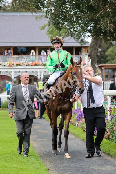 yr24092021r3-38 - Race 3 2.40pm WilliamHill.com Best Odds Guaranteed Stakes