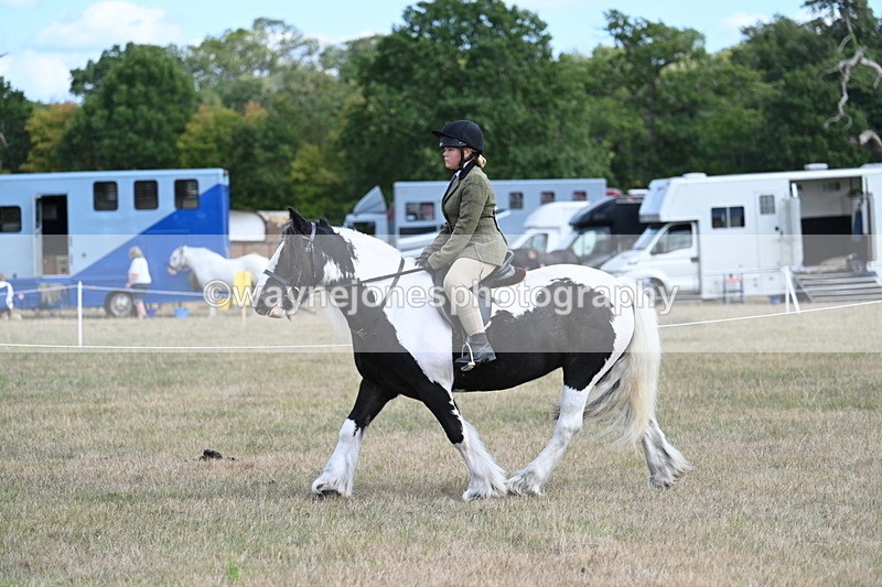 WJ7_6918 - Class 14 Ridden Coloured