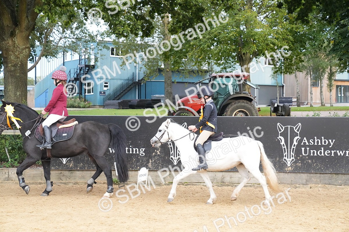 SBM_74964 - J4 - Mini Tour Junior Pony 45cm Championship
