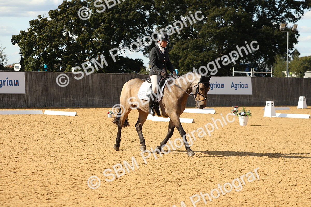 SBM_26576 - D17 - Grand Tour Championship - Novice 27