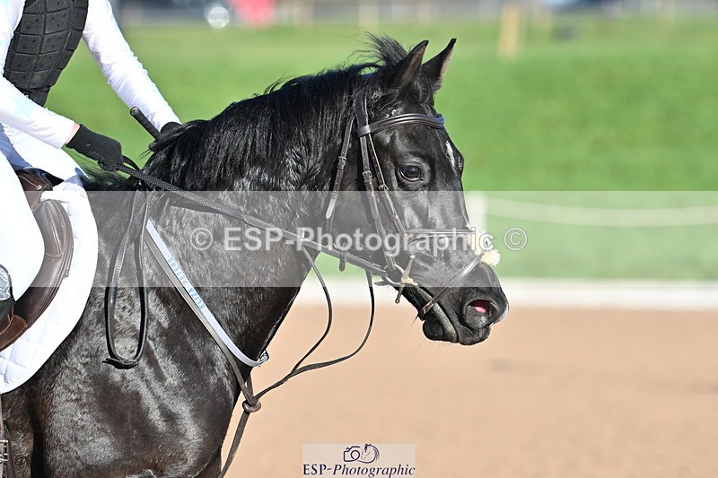 231125A-120906-00463 - 80cm