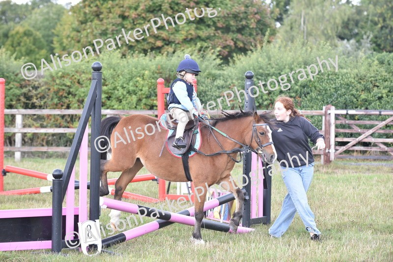 20250831-0491 - Class 7 - Absolute Novice 35cm