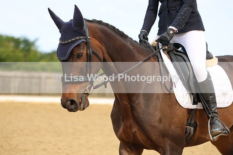 3E7A8715 - Class 1: Intro 1 2024 Section A