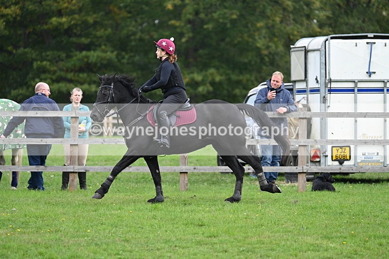 WJ7_4482 - 60cm Time 10:52 to 11:02