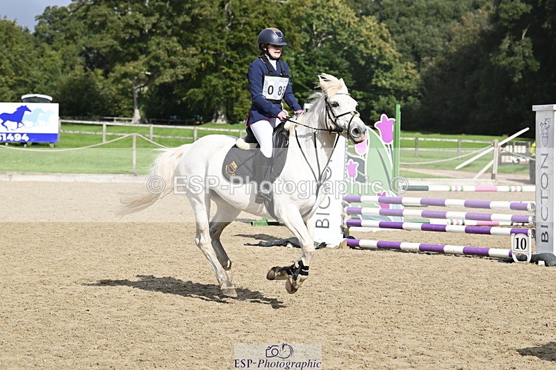 251005A-121919-03721 - Cls 08 Mini 70-75cm