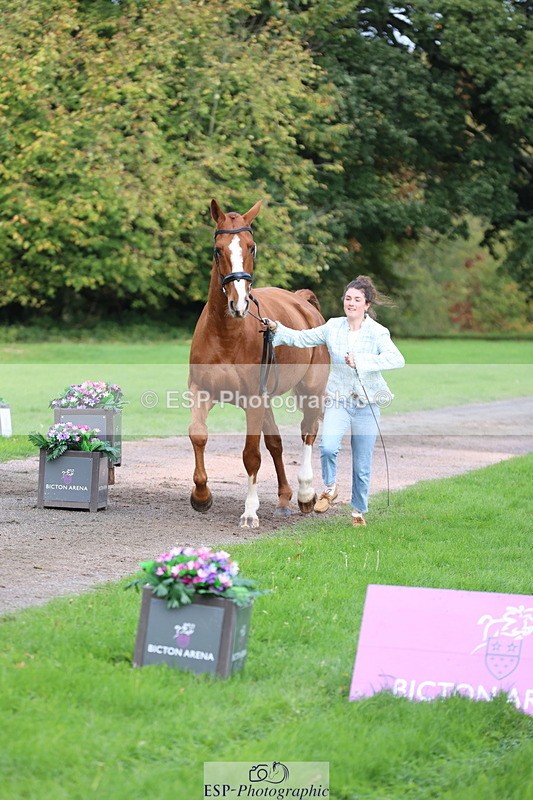 251026A-115300-25735 - G-560-Josie.Dix