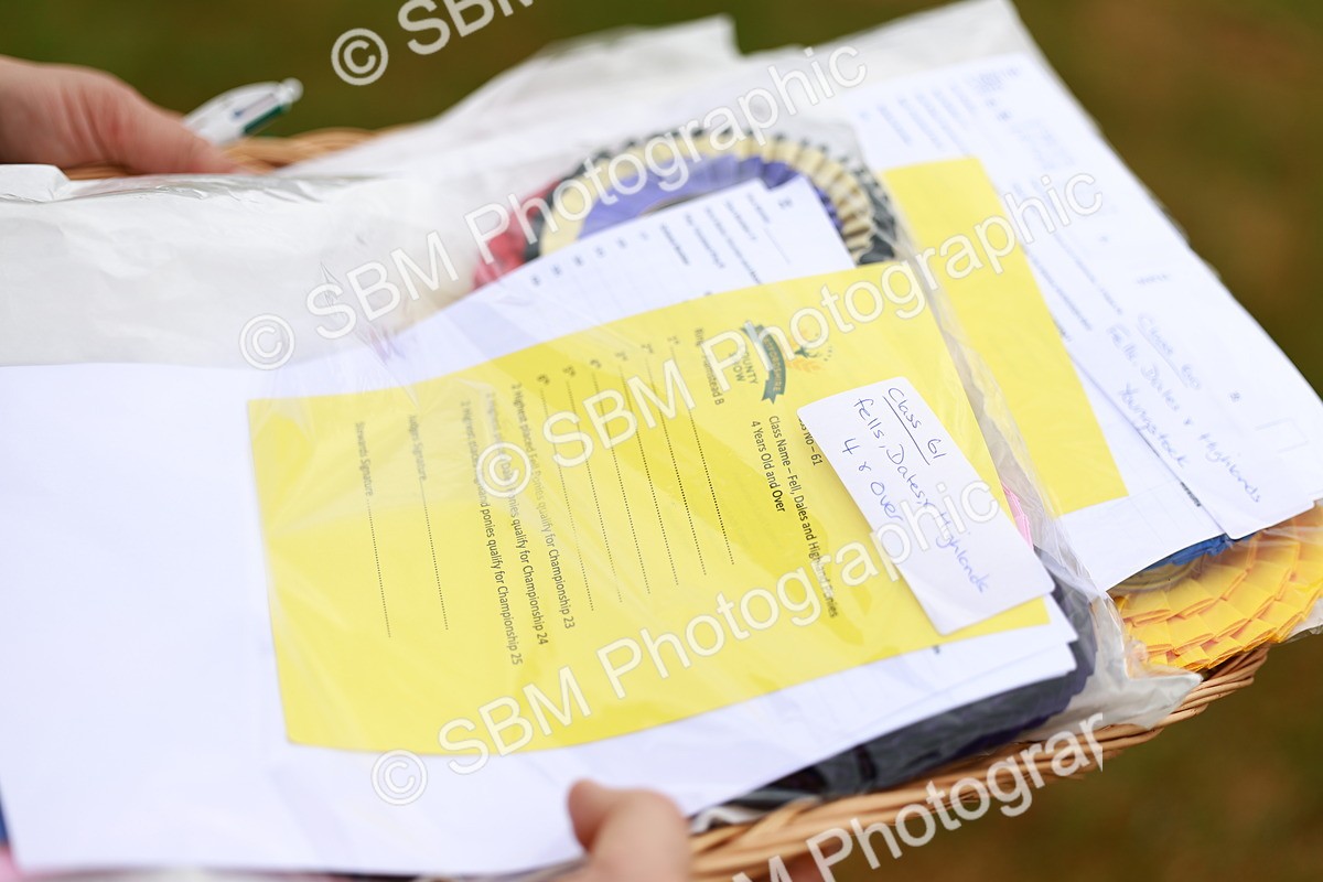 SBM_00338 - Class 58-67 - M&M Non Welsh Pony In hand