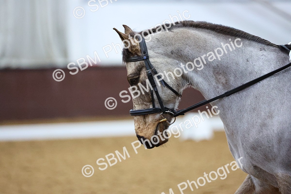 SBM_001808 - Class 12 - Prelim 6