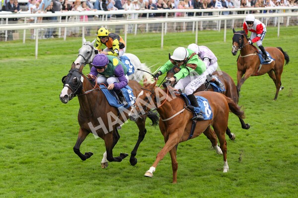 yr24072021r5-52 - Race 5 4.25pm Sky Bet Best Odds Guaranteed Stakes