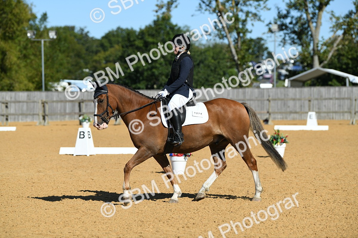 SBM_18139 - D4 - Small Tour Championship - Intro B