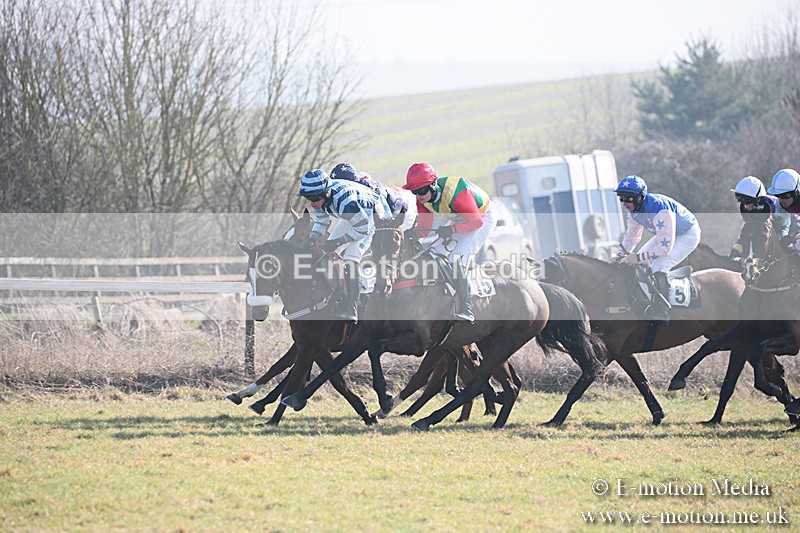 PtP 230219 44 - Vine & Craven Point-To-Point - Barbury 23/02/19