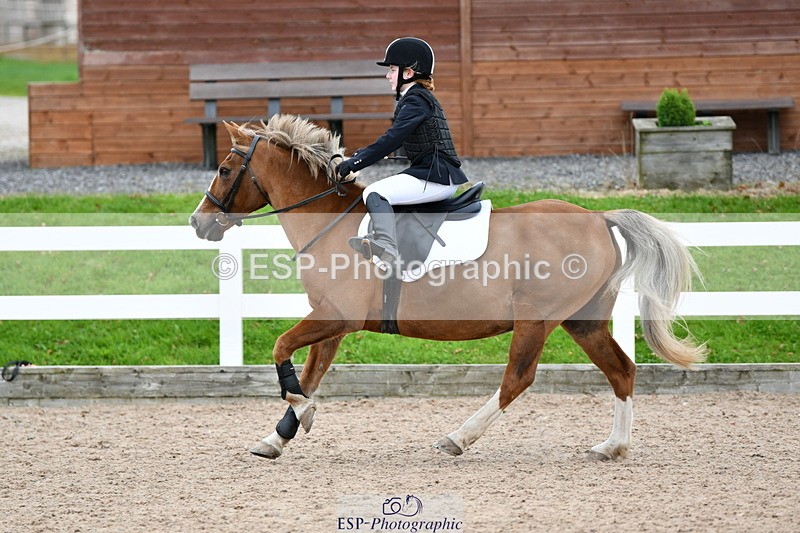 241013B-152915-01882 - Cls 6 80cm