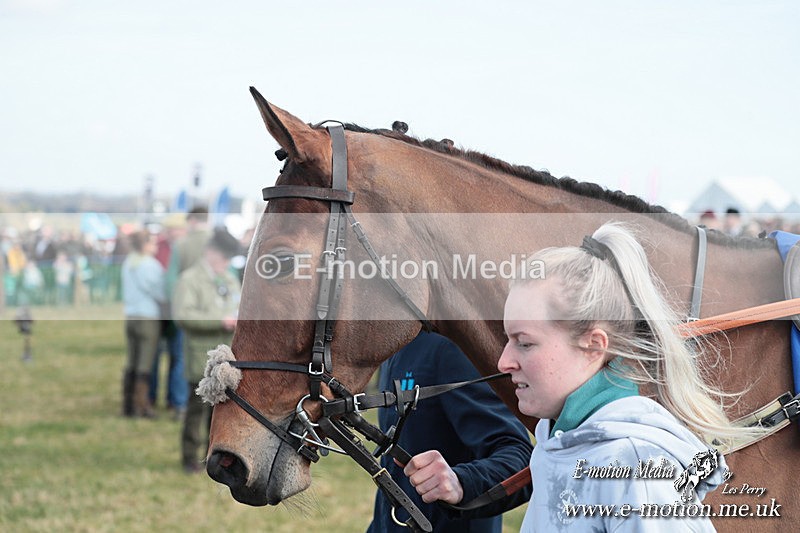 PtP 010325 164 - Beaufort Races Didmarton 01/03/25