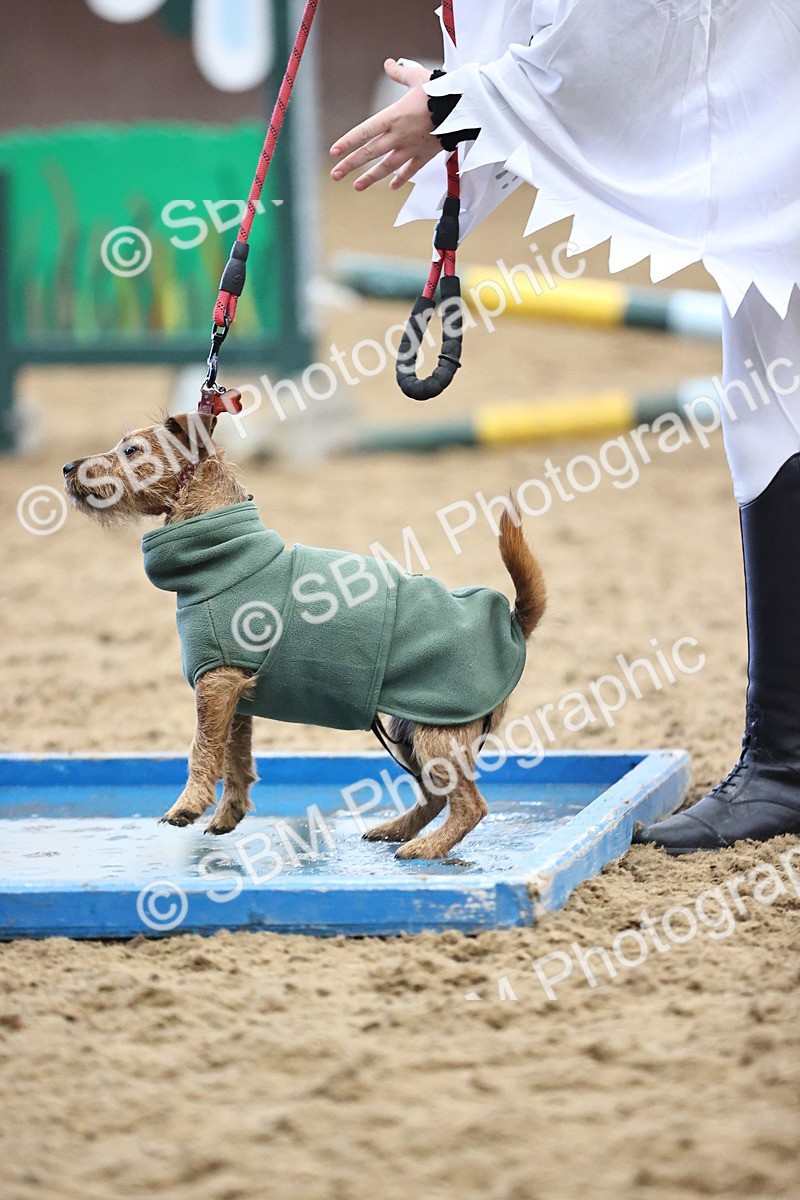 SBM_001520 - Class 3 - Horse & Hound 60cm
