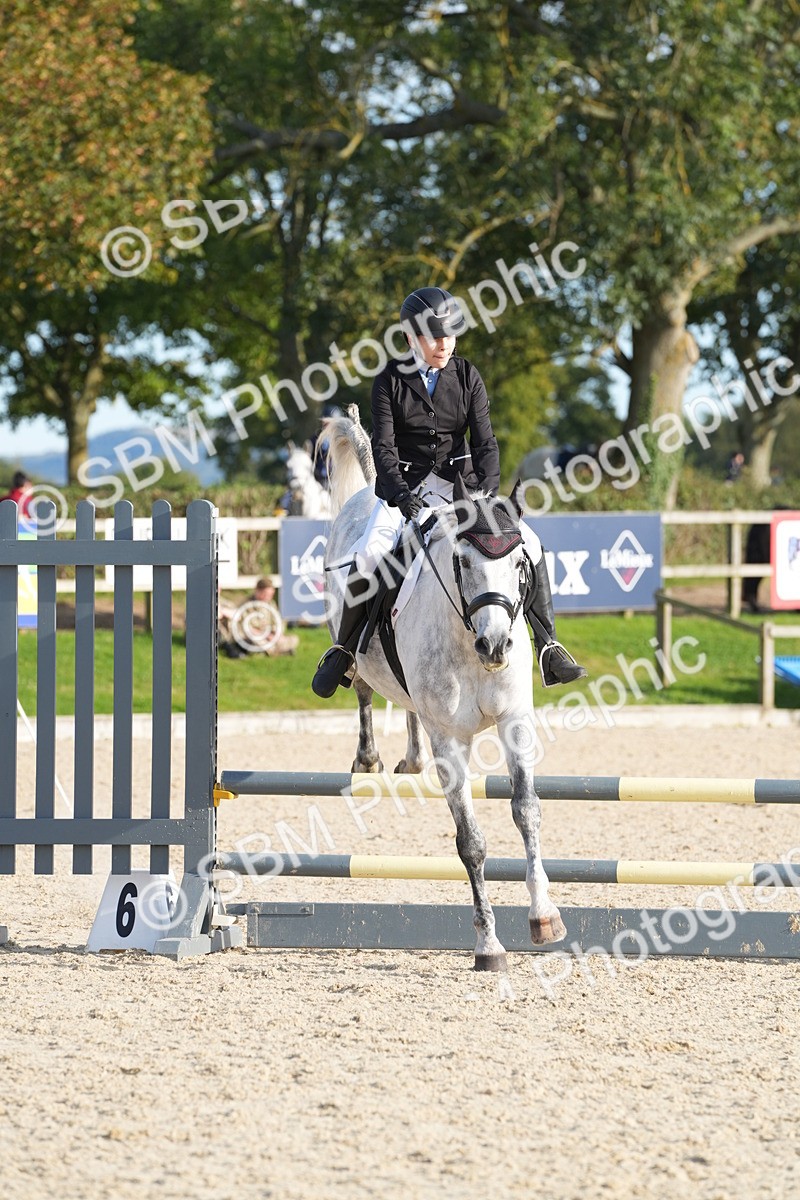 SBM_53349 - J23 - Junior Horse 70cm Championship