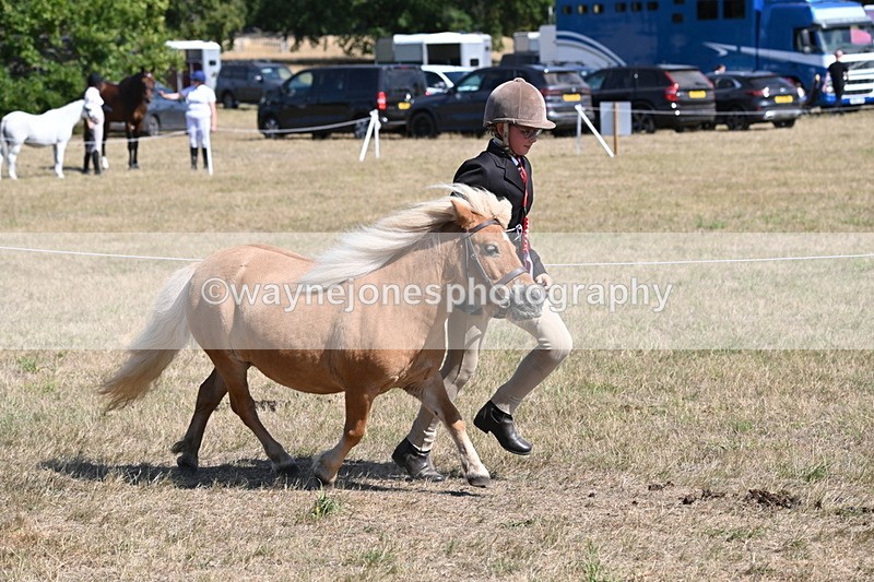 WJ6_9213 - Championship Classes 33-38