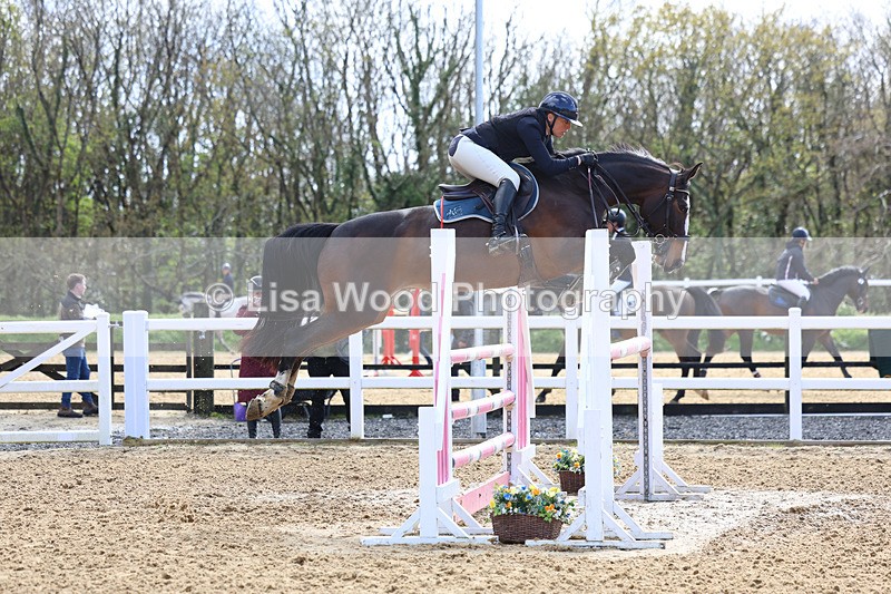 3E7A2156 - Class 8: Senior Foxhunter/1.20 open