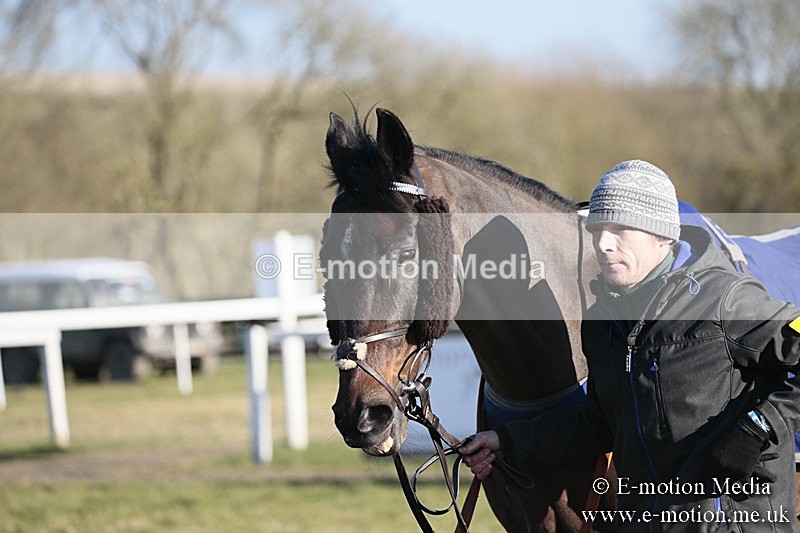 PtP 240218 633 - Vine & Craven Hunt Point-to-Point Barbury racecourse 24/02/18