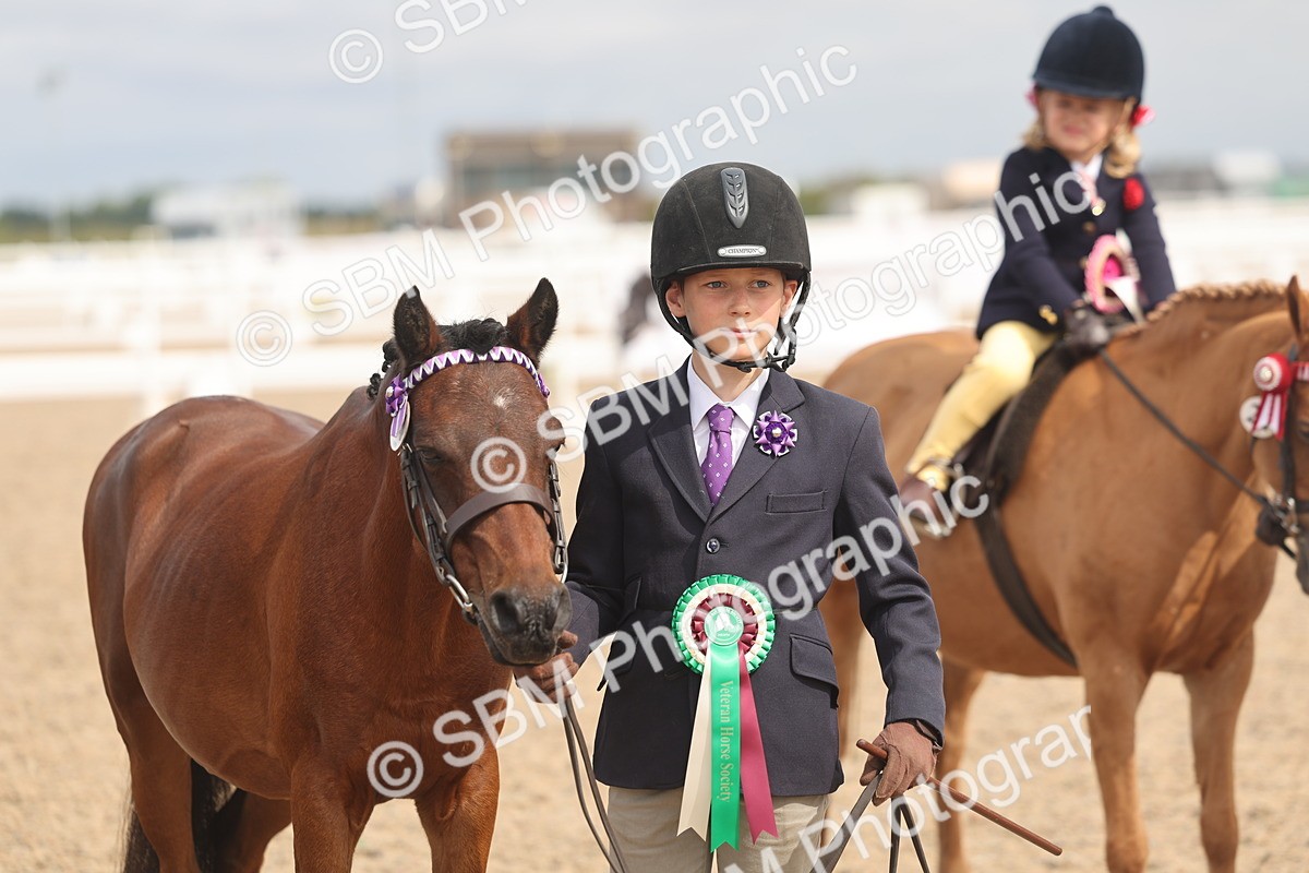 SBM_04586 - Class 19 - Horse/Pony Judge would most like to take home