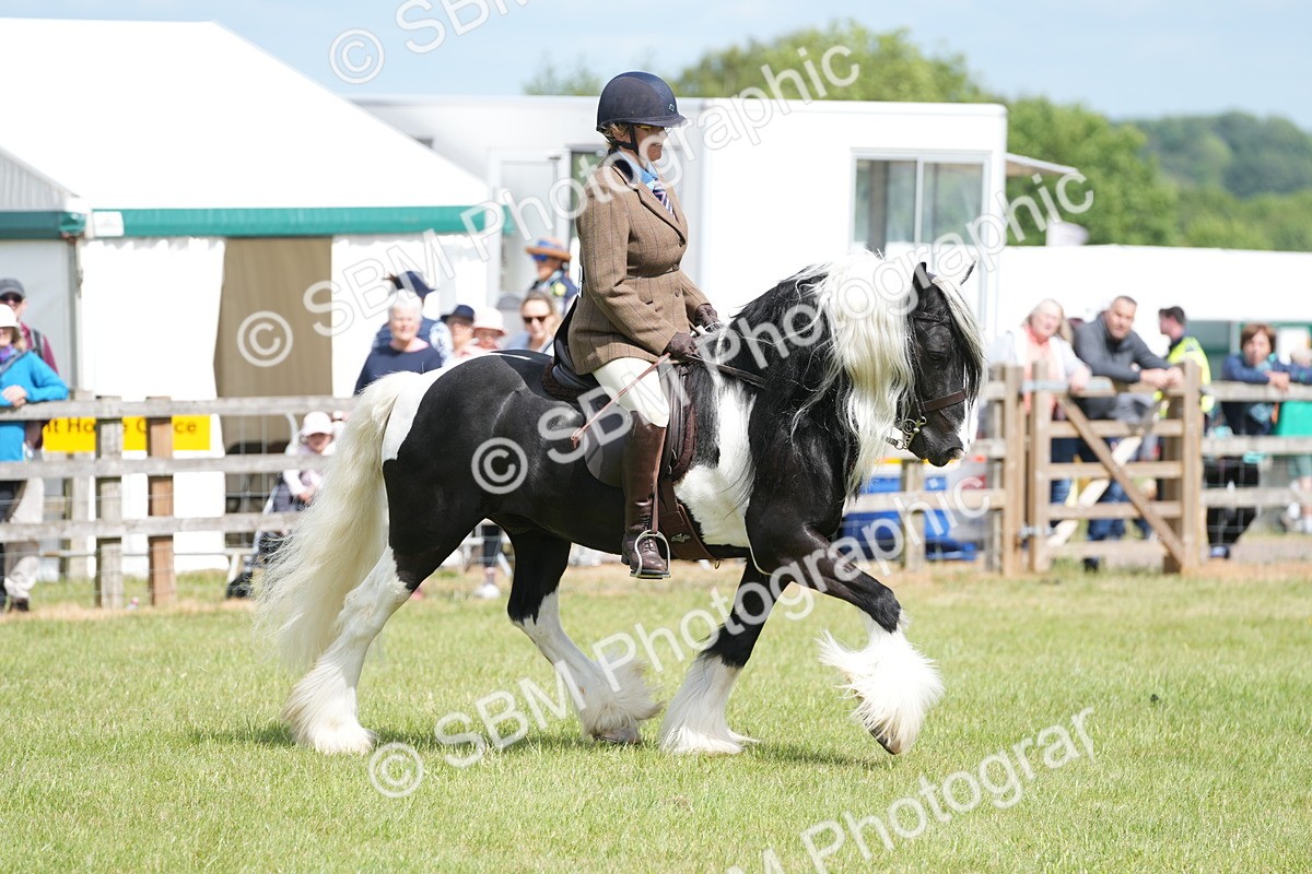 SBM_17271 - Class 107-108 - LIHS BSPS Performance Coloured Horse Pony