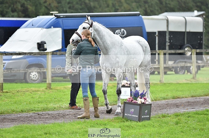 231018-124514-00494 - 061-SAYS.ALL-Maisie.Morgan-TrotUp