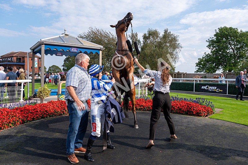 240825-Race 5-This Years Love-2298 - Race 5