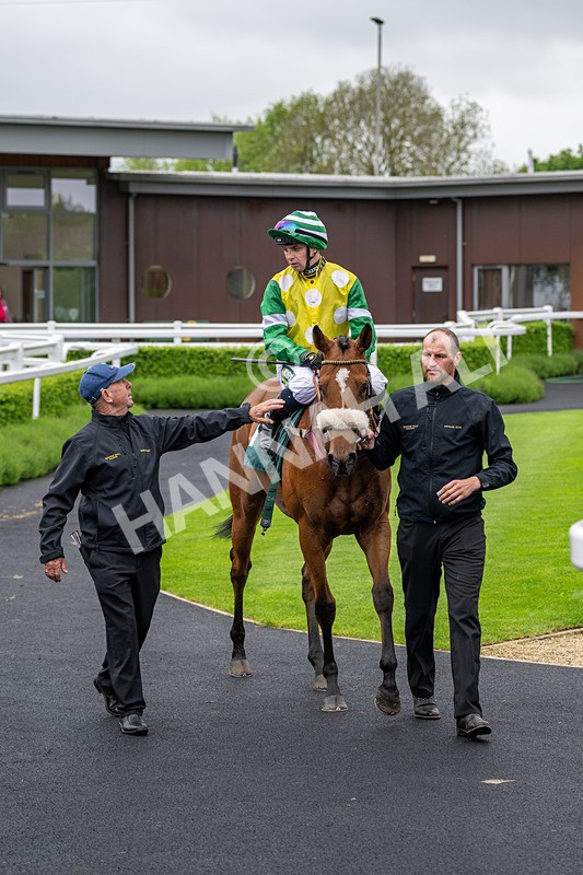 230524-Race 1-Brazilian Belle-1233 - Race 1