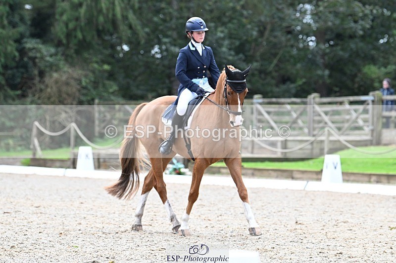 231019-130112-02906 - 049-AUGUSTUS.IMPERIOUS-Ines.Mitchell-DR