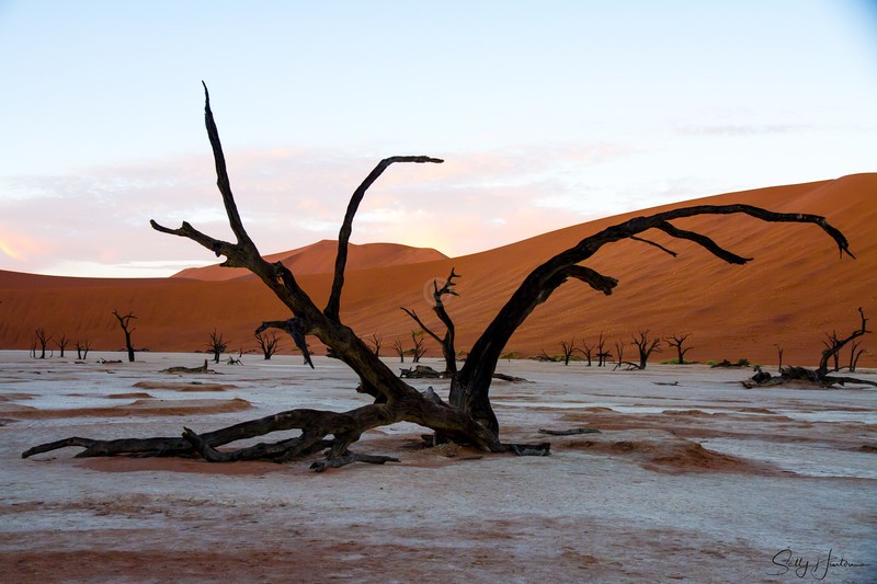 Deadvlei 1