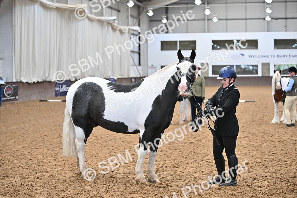 SBM_000040 - Class 1 - In Hand Cob