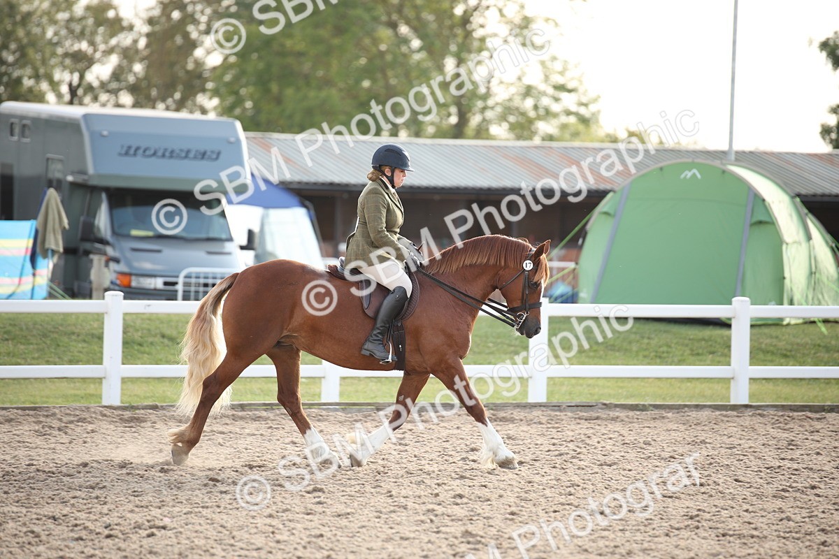 SBM_09191 - Regional Ridden Champ