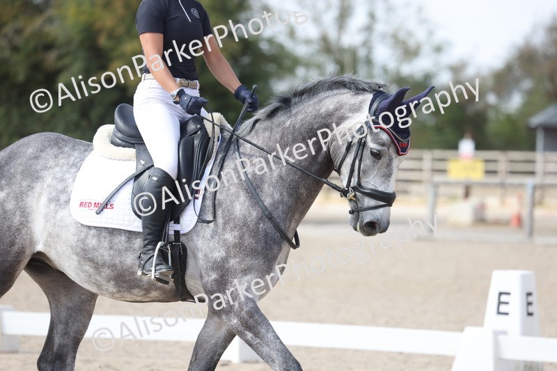 20260815-1004 - Class 5 - Novice 1