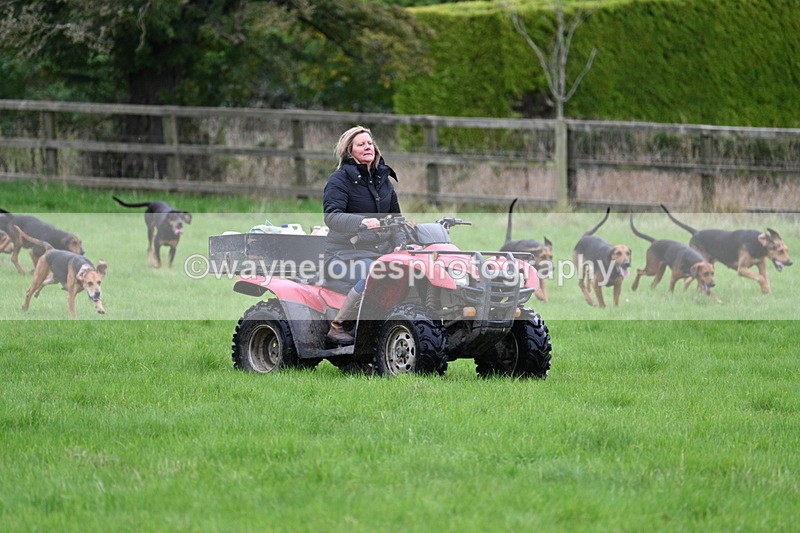 WJ7_4348 - Camera 1 Line 3