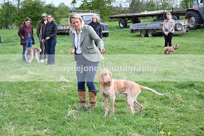 WJ6_8165 - Class 2 Best Pedigree