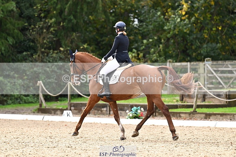 251023A-124134-02302 - B-154-Holly.Law