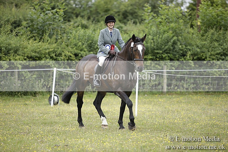 BVR160717-1565 - Ring 1 BVRC Show 16/07/17