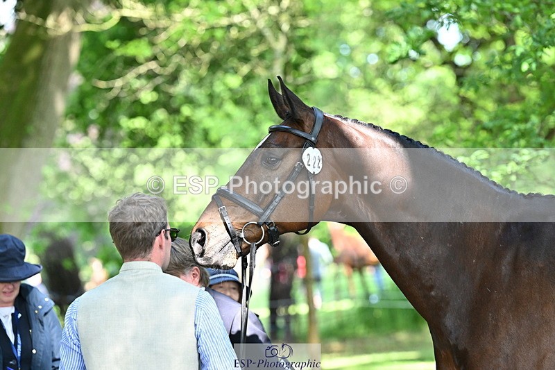 250521A-162547-01134 - C-222-Jason.Wood-NITOR