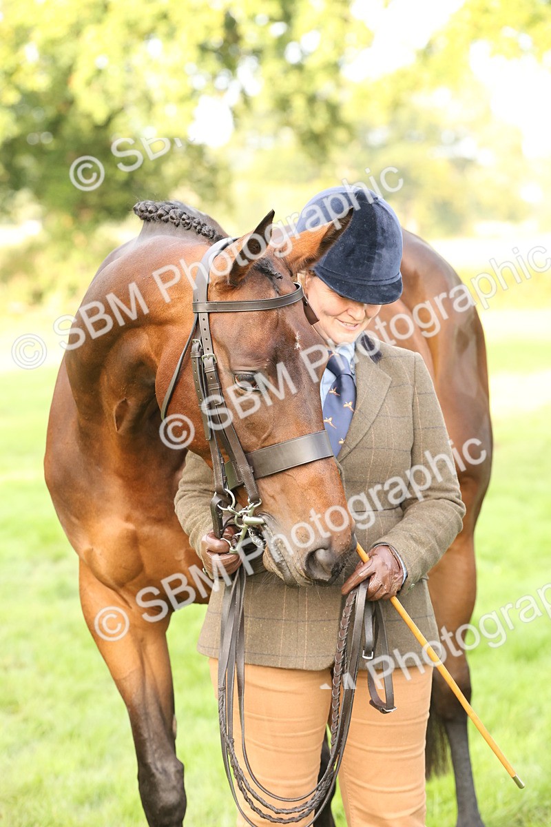 SBM_54999 - S52 - Riding Horse & Hack & thoroughbred In Hand