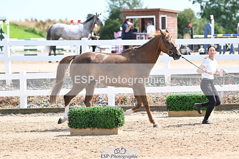 240717A-150733-02563 - Trot Up 3pm to 4pm