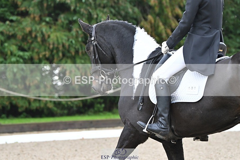 231019-103251-01891 - 101-RICARDO.COLOURS.II-Elizabeth.Wadey-DR