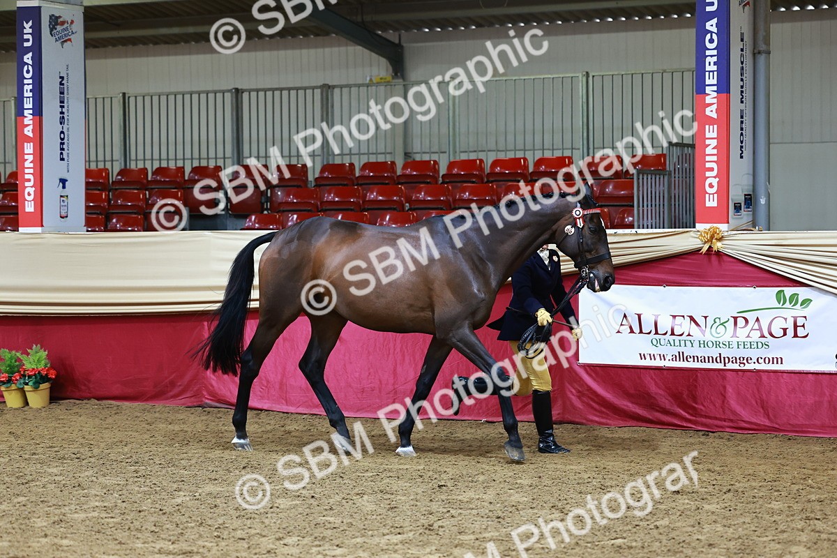 SBM_22110 - Class 902 - Supreme Final - IH Diamond