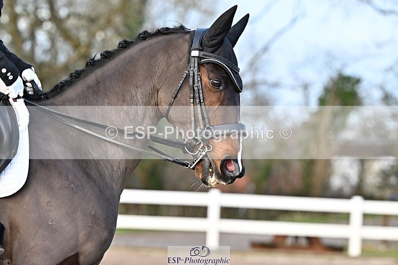 241214-145947-03043 - 160-Shelly.Smit-Sharp.Sharp