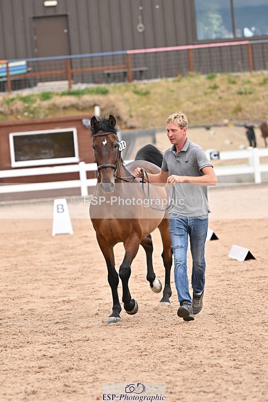 250716-151418-01805 - Trot Up 2.30 to 3.30