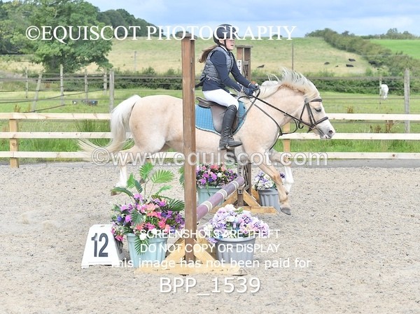 BPP_1539 - DERBY CLASS 3 - 40CM