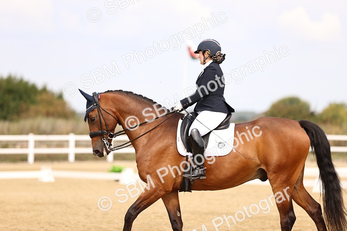 SBM_012890 - Class 2 - Advanced Medium 5 - 10.35-11.55