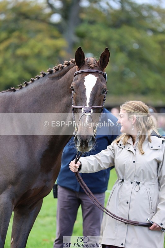 251026A-103542-23128 - F-433-Kathryn.Board