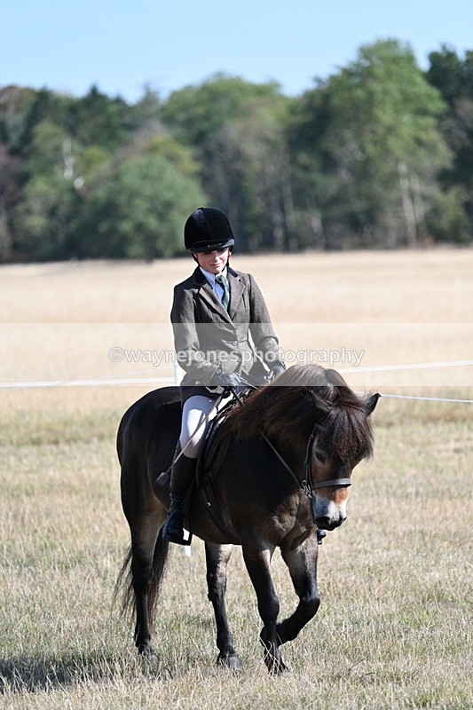 WJ7_3086 - Class 8 Ridden Tack & Turnout